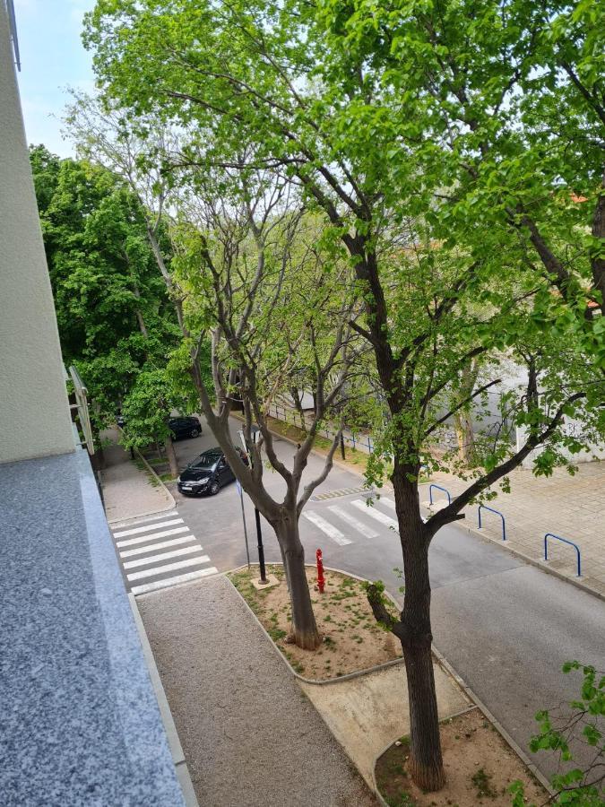 Apartment Alea Senj  Exteriör bild